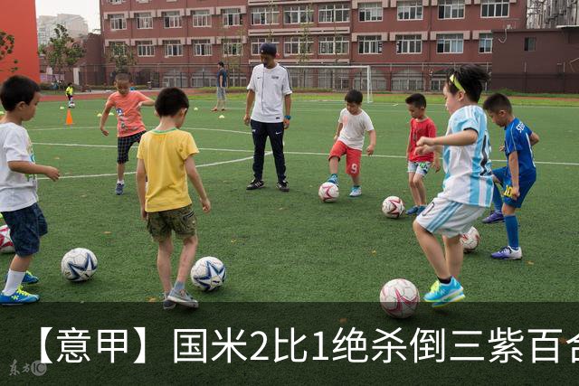【意甲】国米2比1绝杀倒三紫百合，图拉姆绝平+造点
