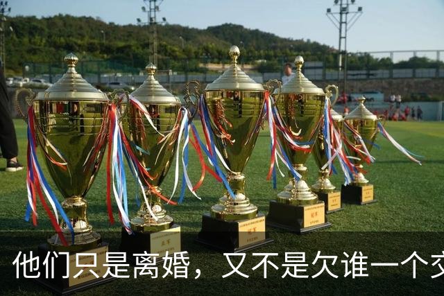 他们只是离婚，又不是欠谁一个交代