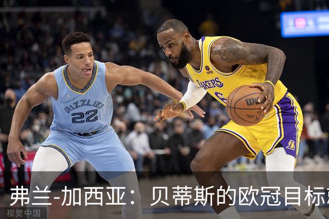 弗兰-加西亚：贝蒂斯的欧冠目标就是尽量进入前24