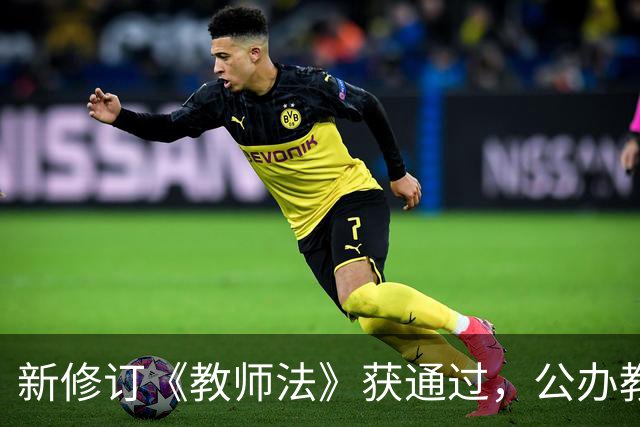 新修订《教师法》获通过，公办教师明确为“国家公职人员”