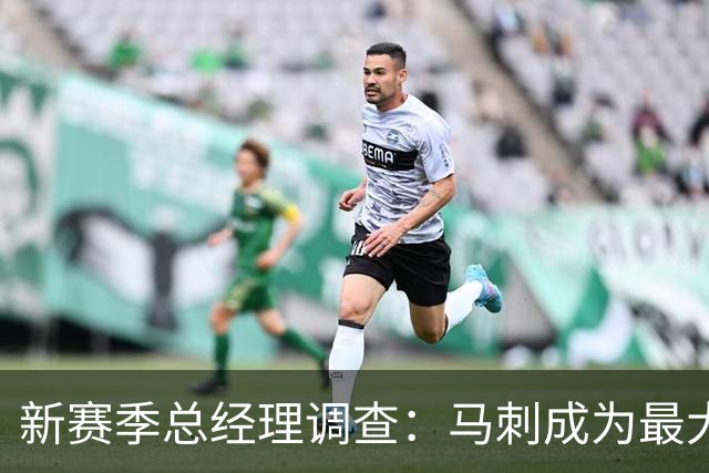 新赛季总经理调查：马刺成为最大赢家 东契奇未获MVP选票
