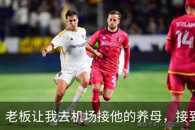 老板让我去机场接他的养母，接到人后我愣了，那是我离家多年的妈