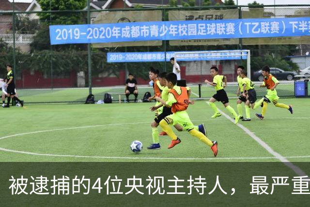被逮捕的4位央视主持人，最严重的被驱逐出境，个个沦为阶下囚