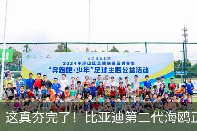 这真夯完了！比亚迪第二代海鸥正式公布发布价，6.29万元起